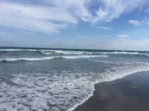 photo of the beach in San Diego - When in Doubt, Scream! - Jean Campbell - Action Institute of California - Action Insights Blog