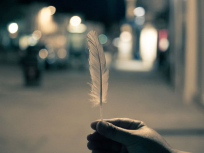 future projection - hand holding feather - action institute of california - jean campbell