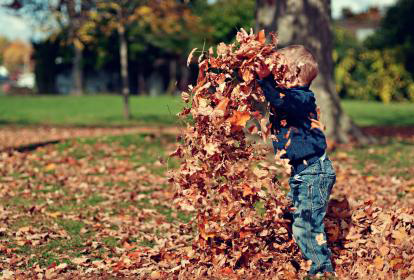 toddler playing in leaf pile - how free do you want to be - moonlight workshops - jean campbell