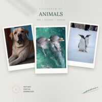 pictogram of animals